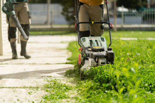 Preparing for Spring: Landscaping Planning Starts Now