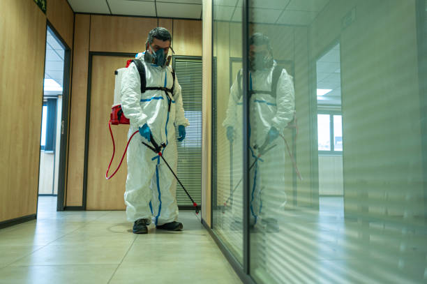 Pest Control
Preventative Maintenance
Commercial Pest Control
