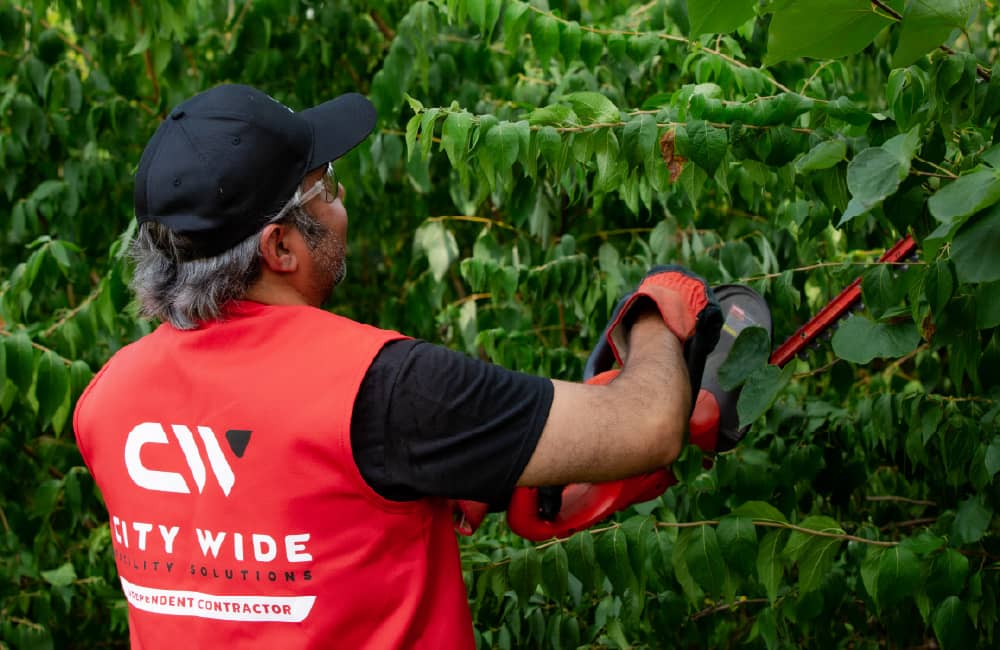 4 Reasons to Choose City Wide for Lawn & Landscaping Services in Wichita