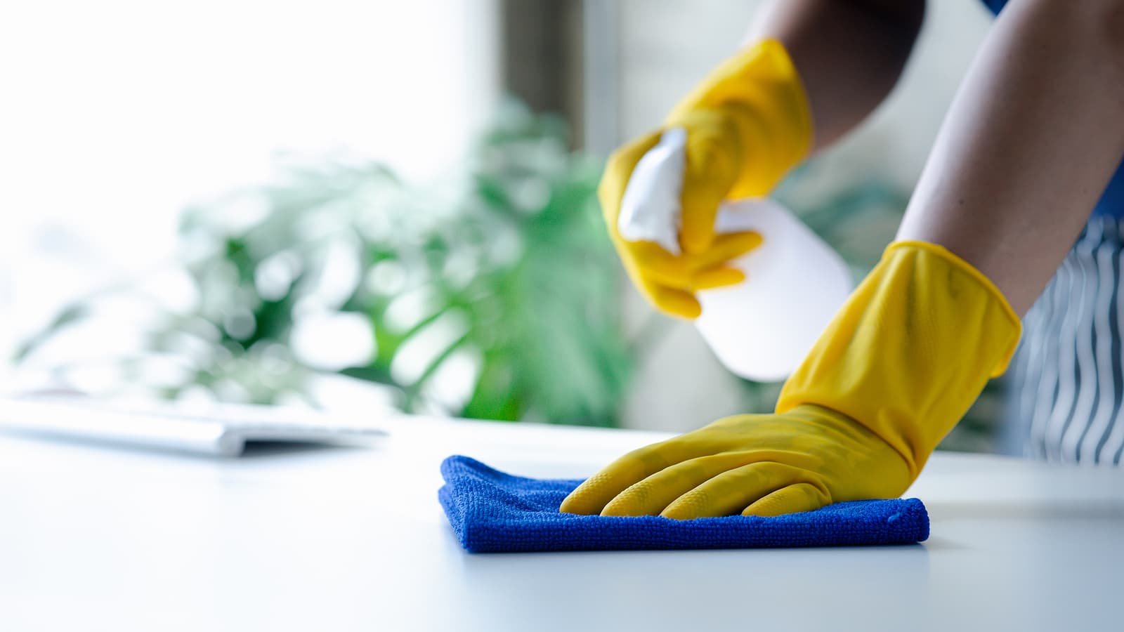 Professional cleaner wiping off a desk in an office